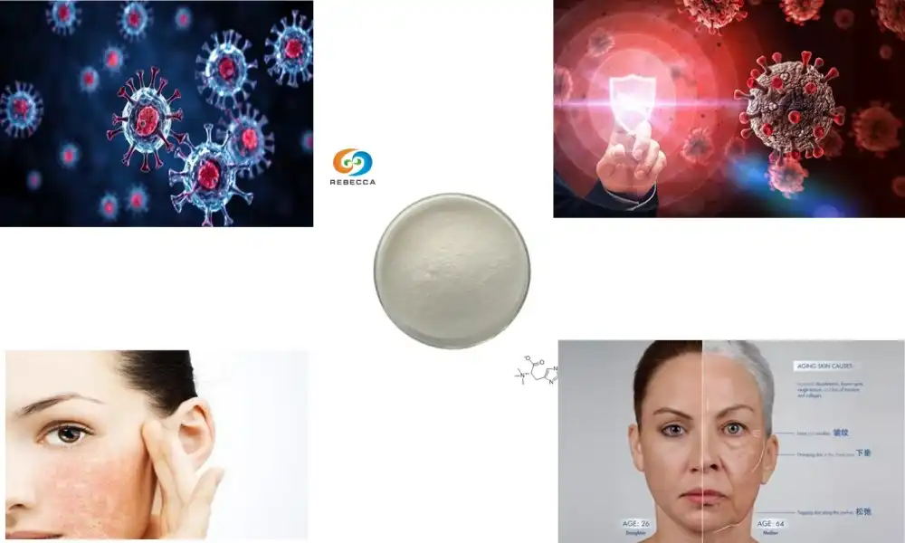 What Sets Premium L-Ergothioneine Powder Apart?